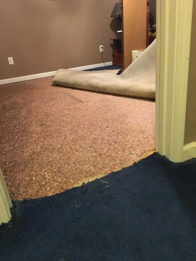 Carpet pad removal revealing water damage during Water Mitigation Services in Corvallis