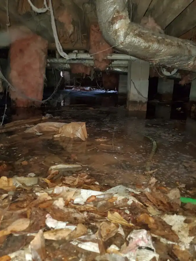 Crawl space flood assessment for Commercial Water Damage Restoration in Corvallis